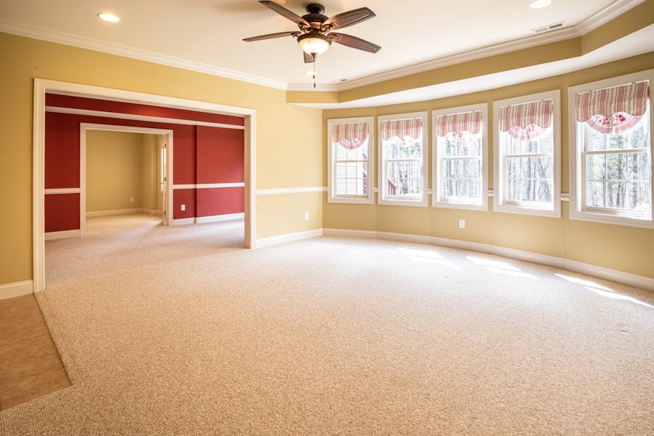 A spacious living room with beige carpet flooring in front of a bay window with five panes, decorated with pink and white valances, allowing natural light to brighten the room. The walls are painted a soft yellow with white trim moldings, and there is a white ceiling fan with a central light fixture. An open doorway with a white frame leads into an adjacent room, which has feature walls painted in a contrasting deep red color with white trim. The room appears clean and well-maintained, with no visible dust or clutter, highlighting the results of professional surface cleaning and maintenance by Catford Carpet Cleaning, as part of their domestic cleaning services.