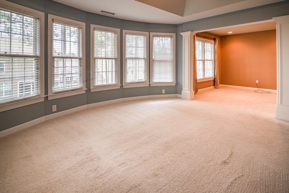 A spacious, empty living room with beige carpet flooring that appears freshly vacuumed, reflecting a clean surface. The walls are painted in a warm, light yellow tone with white crown molding and chair rails, creating a bright and inviting atmosphere. There are five large double-hung windows with white frames, allowing natural light to fill the room; the window sills are clear of clutter. The windows are dressed with red and white striped valances, and outside foliage is faintly visible through the glass. The ceiling is white with recessed lighting as well as a ceiling fan with a central light fixture. Visible in the room is a section of a doorway leading to another room, suggesting an open floor layout. Overall, the room exhibits a high standard of cleanliness and maintenance, indicative of professional domestic cleaning services by Catford Carpet Cleaning, emphasizing surface cleaning and sanitisation.