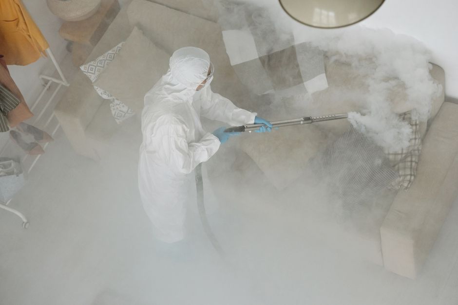 A professional cleaning technician dressed in full protective white coveralls, gloves, and a face mask is sanitising a beige fabric sofa in a well-lit living room during a deep cleaning process. The technician is holding a steam cleaning wand that emits vapor, targeting the upholstery to remove dirt and bacteria. The room features a light-colored wooden floor, a patterned rug, and a white side table with decor items, showcasing a neat and tidy space. Steam and mist are visible around the sofa, indicating active surface cleaning. The scene emphasizes hygiene and thorough sanitisation as part of residential cleaning services provided by Catford Carpet Cleaning, with natural lighting illuminating the space and highlighting the cleanliness.